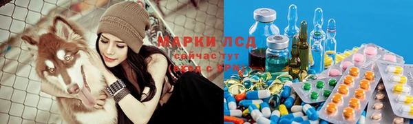 ALPHA PVP Алзамай