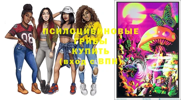 прущий лед Алексеевка