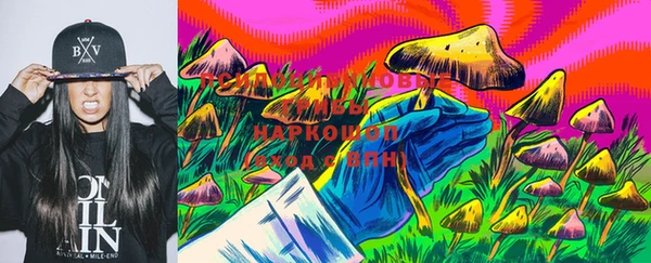 стафф Алексин