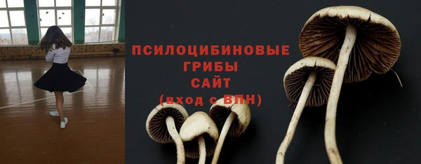 стафф Алексин