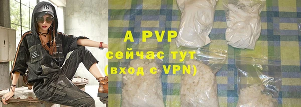 стафф Алексин