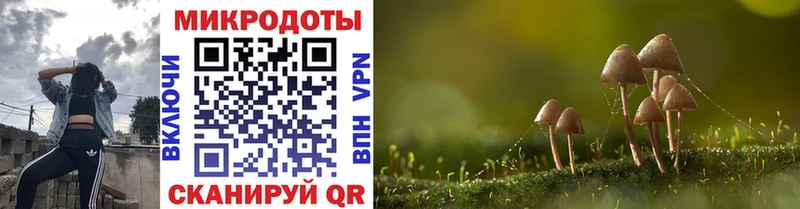 Псилоцибиновые грибы мицелий Гурьевск