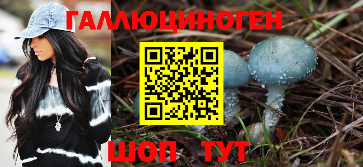 Псилоцибиновые грибы Magic Shrooms  Вход с VPN  Гурьевск 
