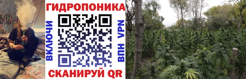 Бошки марихуана Ganja  Гурьевск 